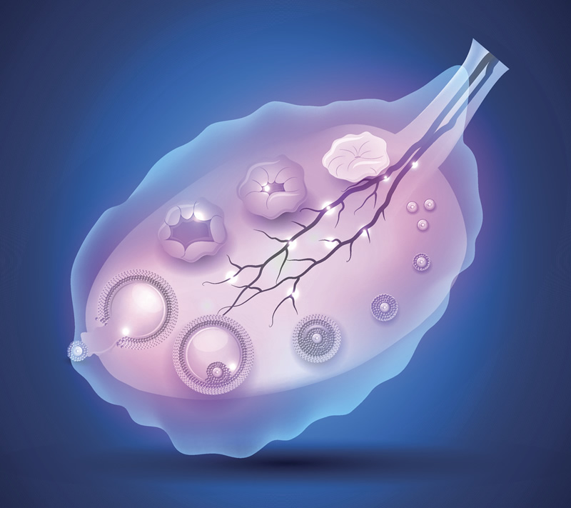 烟台玉皇顶试管婴儿的试管婴儿成本是多少？